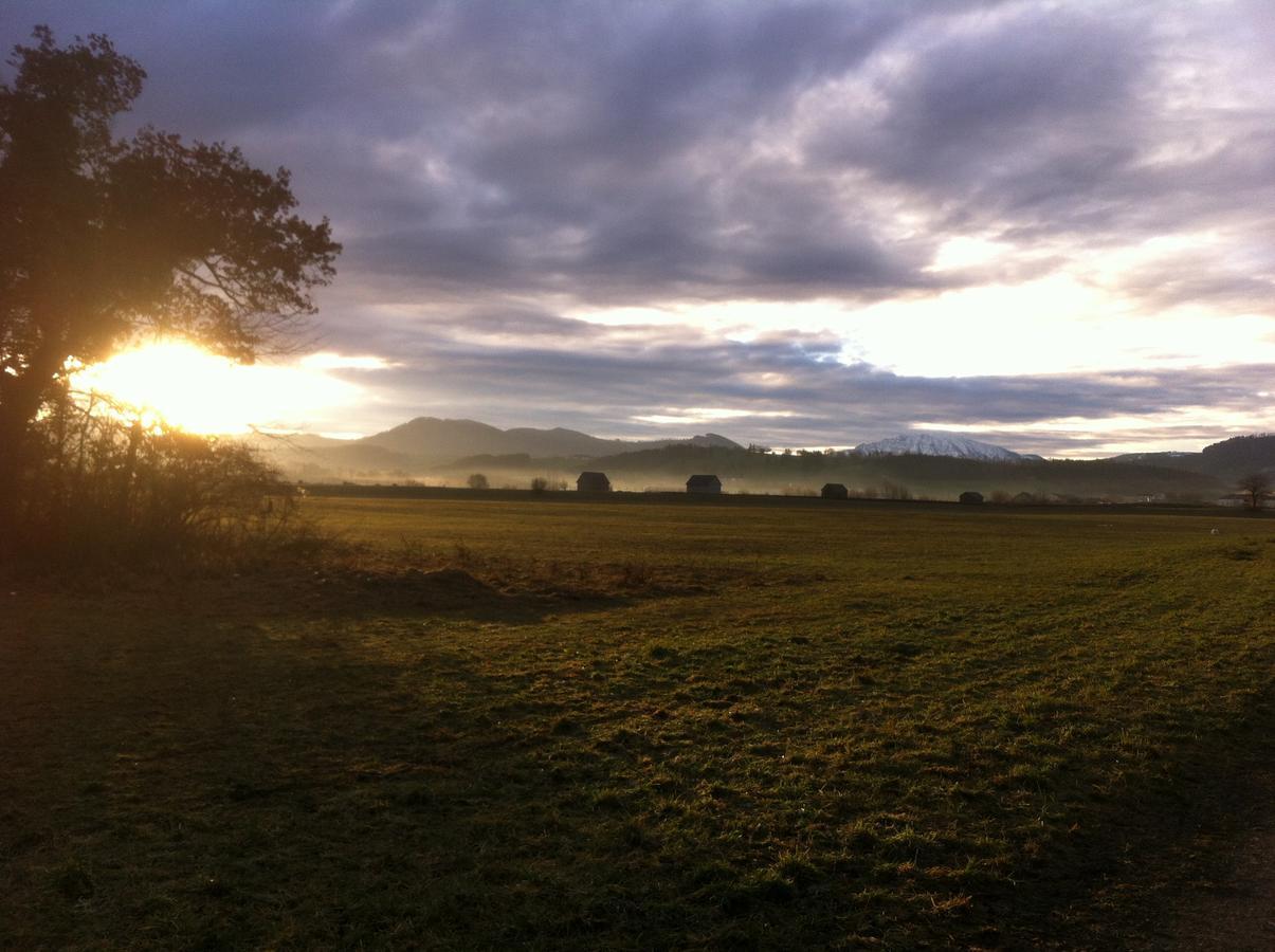 Gasthof Teufl Purgstall an der Erlauf Esterno foto
