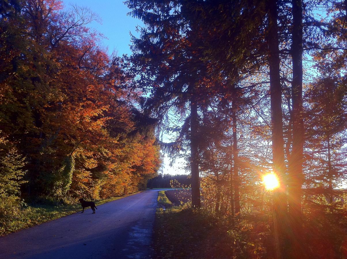 Gasthof Teufl Purgstall an der Erlauf Esterno foto