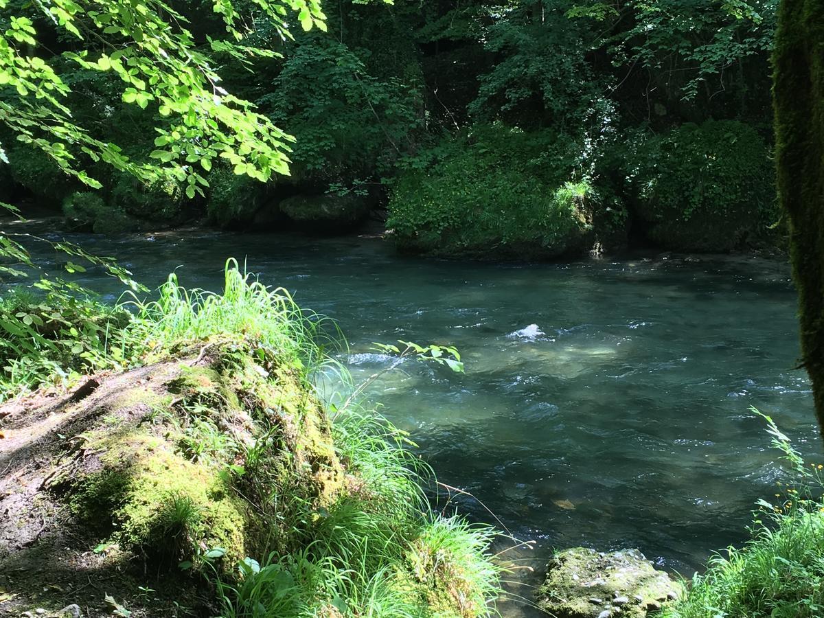 Gasthof Teufl Purgstall an der Erlauf Esterno foto